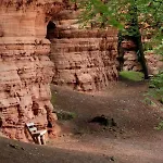 Verte Vallee Privatif דירה Meisenthal