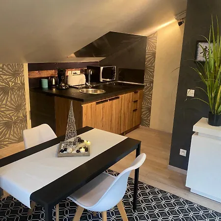 Apartment Privatif Verte Vallee, Sejour Zen Meisenthal