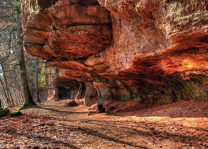 Apartament Verte Vallee Privatif Meisenthal