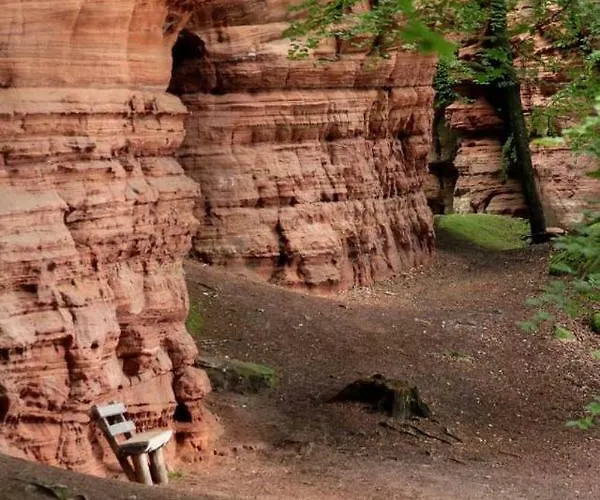 Verte Vallee Privatif Apartment Meisenthal