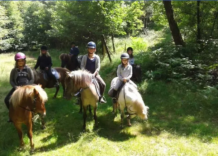 Verte Vallee Privatif Meisenthal